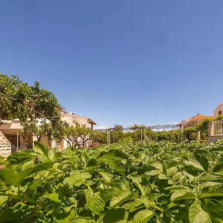 Vinka Apartman Supetar