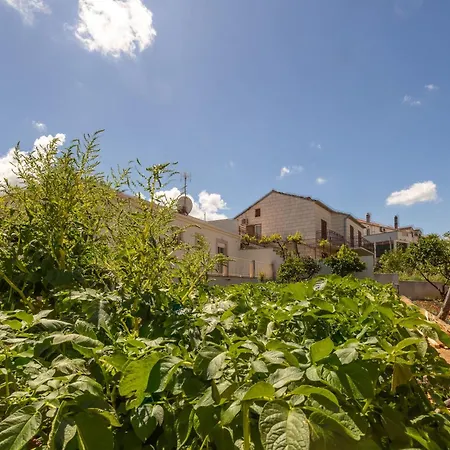 Apartment Vinka Supetar